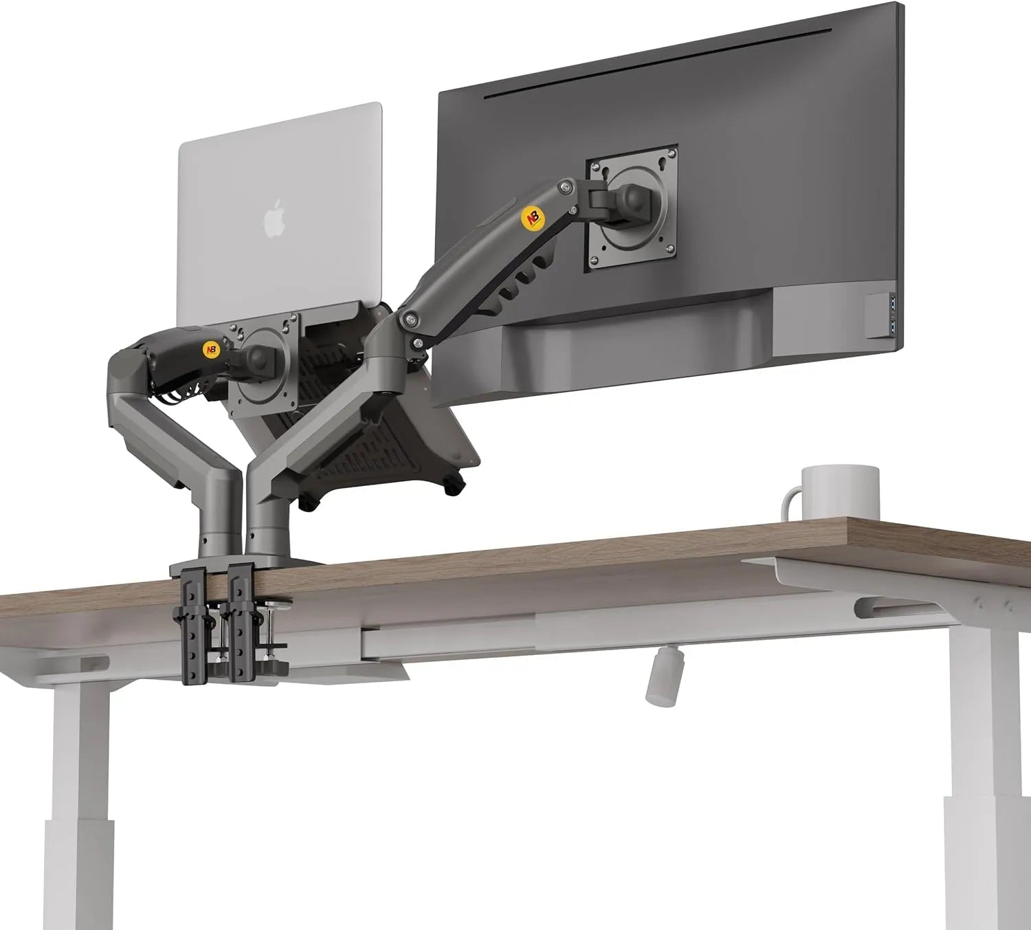 NB North hydraulic stand - CoffeeGamerStore