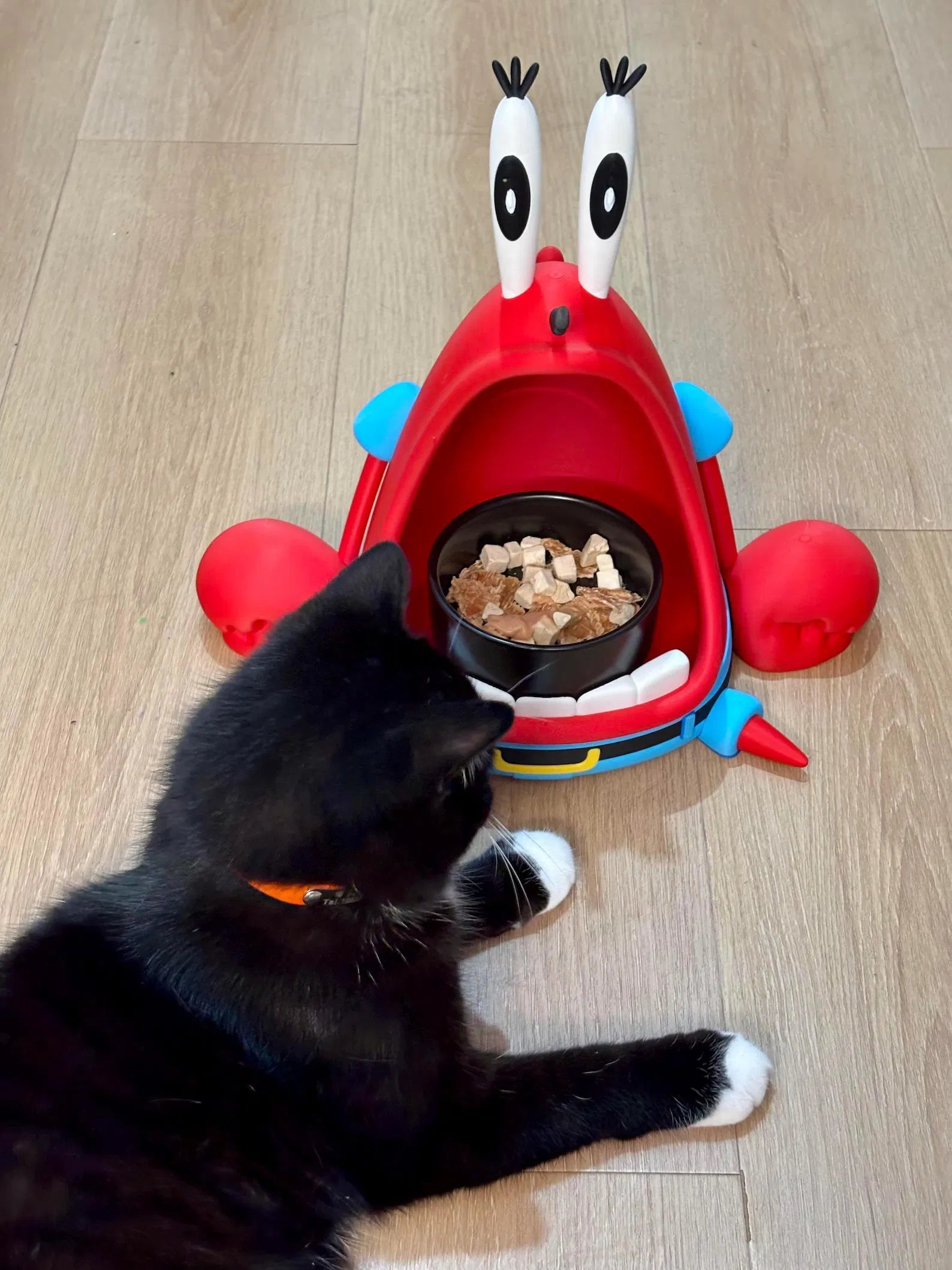 Patrick & Mr Krabs Pet Bowl Organizer - CoffeeGamerStore