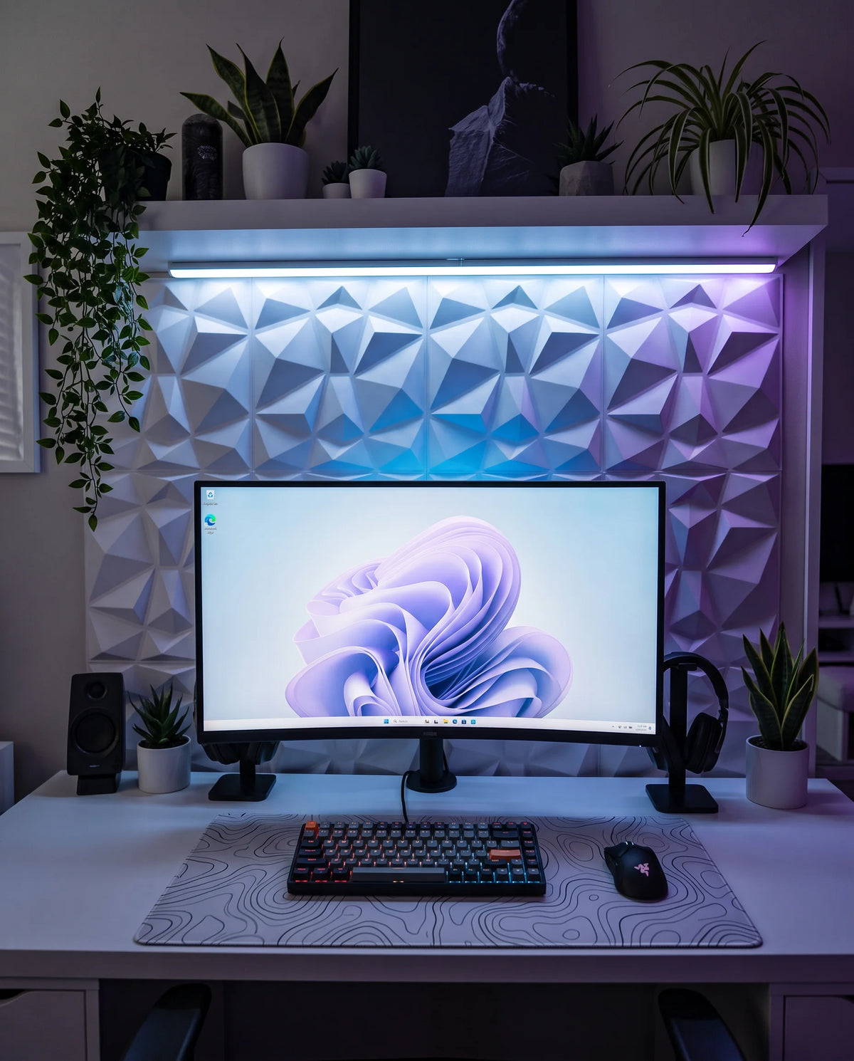 Desk in front of white 3D wall panels lit by an LED bar under a floating shelf, with a hanging plant